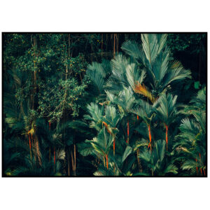 Troopiline vihmamets