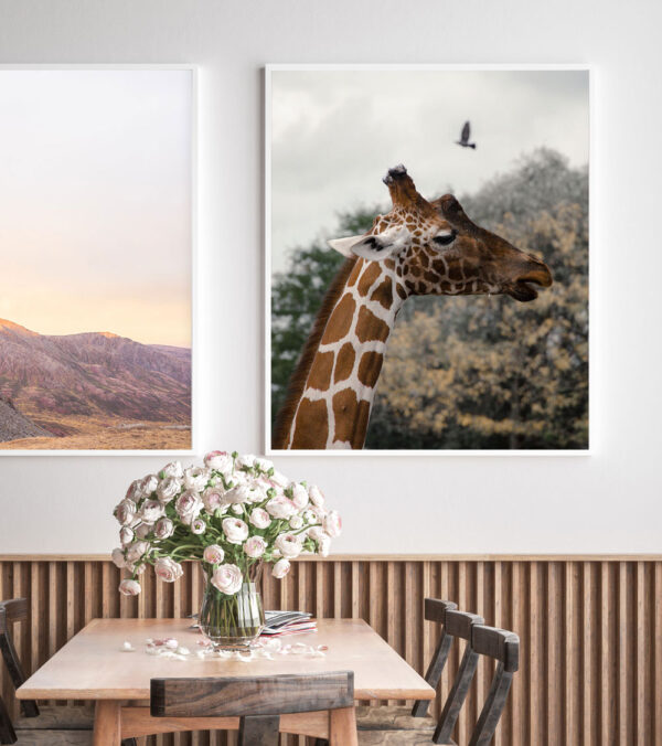 Marilyn Monroe II - Vaizdas 2